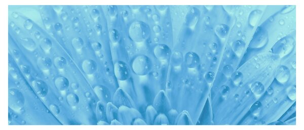 Kép - Makro felvétel egy virágról (120x50 cm)