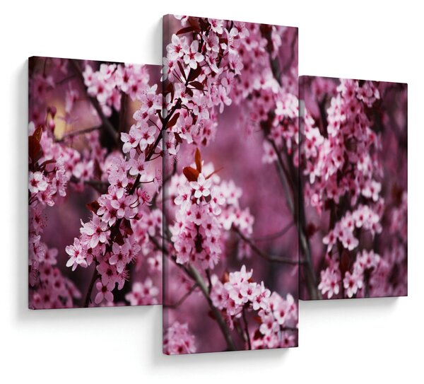 Kép - Rózsaszín sakura (90x60 cm)