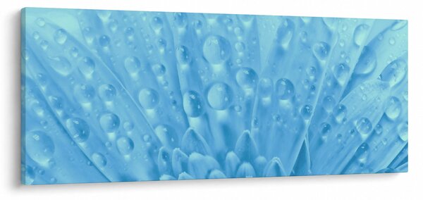 Kép - Makro felvétel egy virágról (120x50 cm)