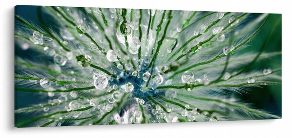 Kép - Makro kép egy virágról (120x50 cm)
