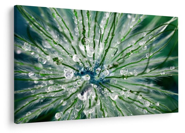 Kép - Makro kép egy virágról (90x60 cm)