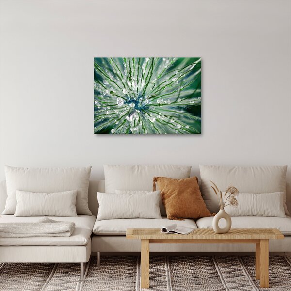 Kép - Makro kép egy virágról (70x50 cm)