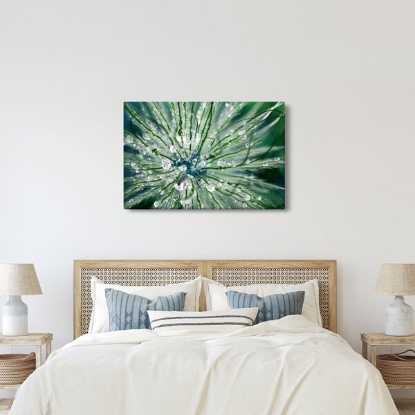 Kép - Makro kép egy virágról (90x60 cm)