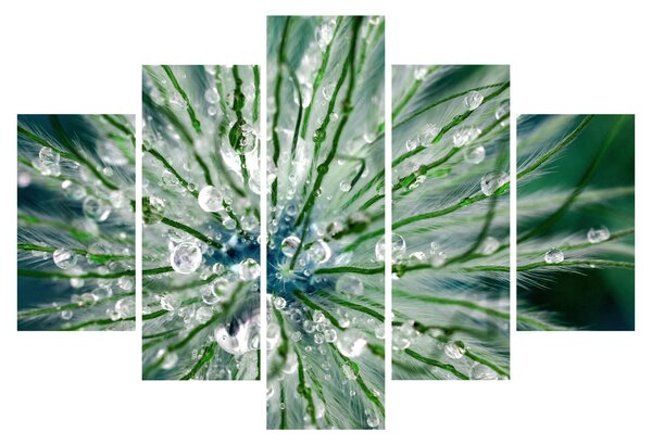 Kép - Makro kép egy virágról (150x105 cm)