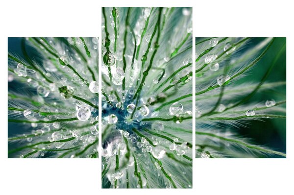 Kép - Makro kép egy virágról (90x60 cm)