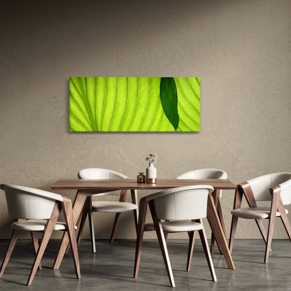 Kép - Zöld levél részlete (120x50 cm)
