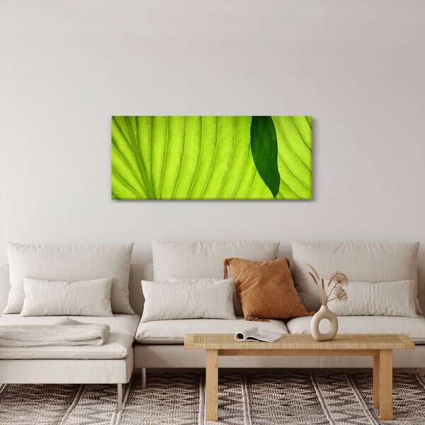 Kép - Zöld levél részlete (120x50 cm)
