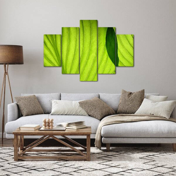 Kép - Zöld levél részlete (150x105 cm)
