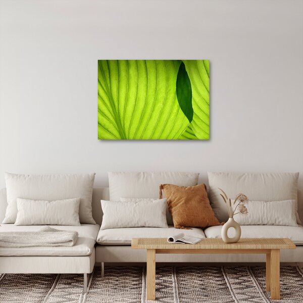 Kép - Zöld levél részlete (70x50 cm)