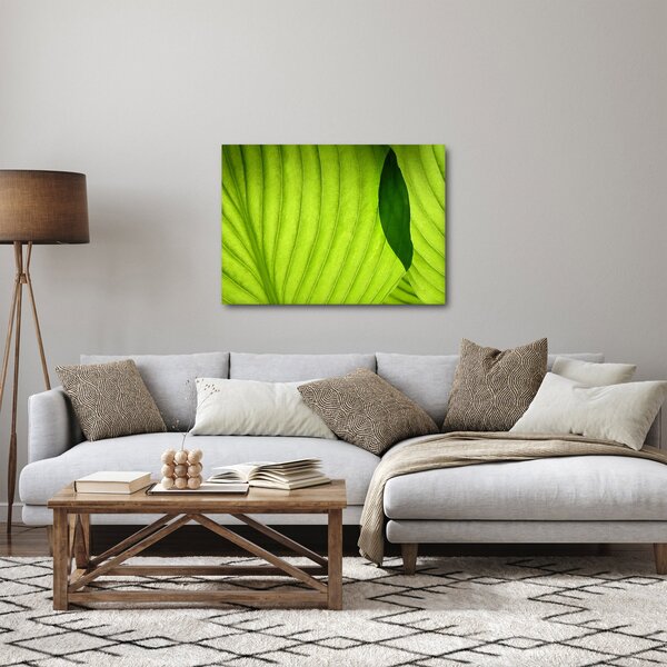 Kép - Zöld levél részlete (70x50 cm)