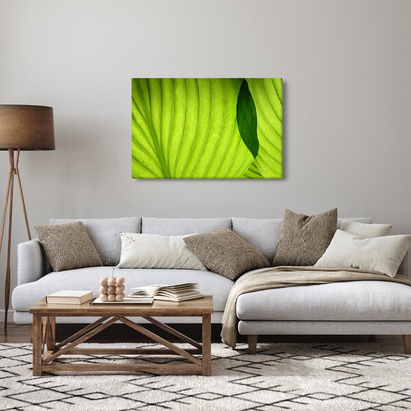 Kép - Zöld levél részlete (90x60 cm)