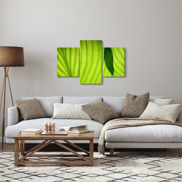 Kép - Zöld levél részlete (90x60 cm)