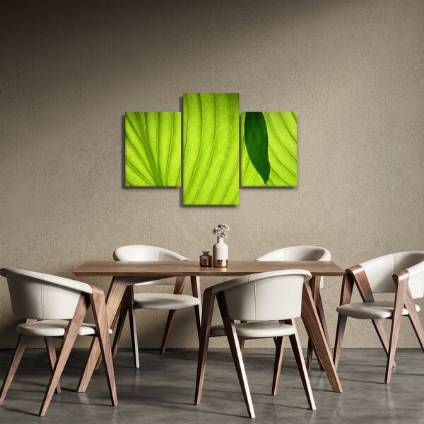 Kép - Zöld levél részlete (90x60 cm)
