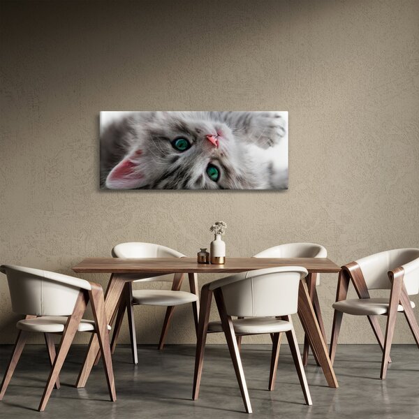 Kép - Macska zöld szemekkel (120x50 cm)