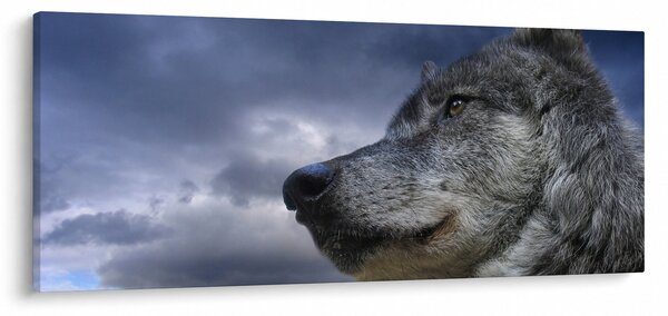 Kép - Farkas feje (120x50 cm)