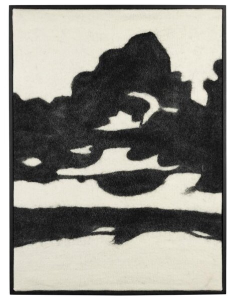 Sameer gyapjú kép