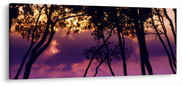 Kép - Fák naplementében (120x50 cm)