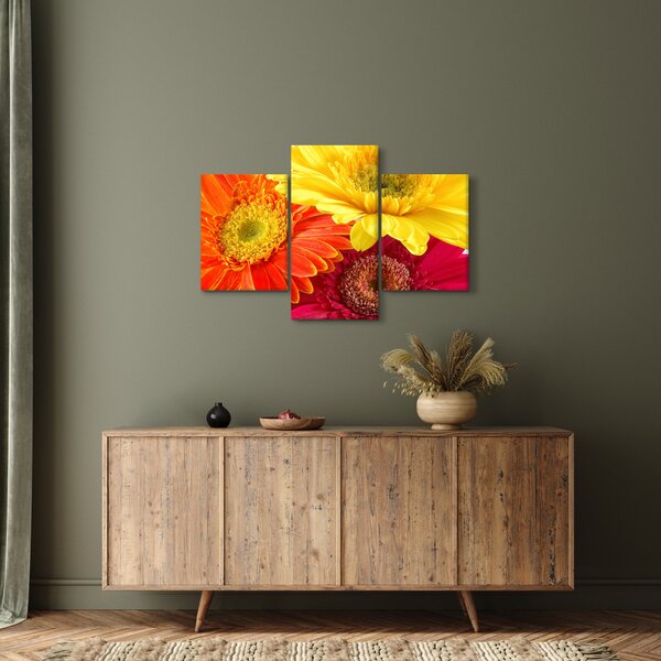 Kép - Virágok Gerbery (90x60 cm)