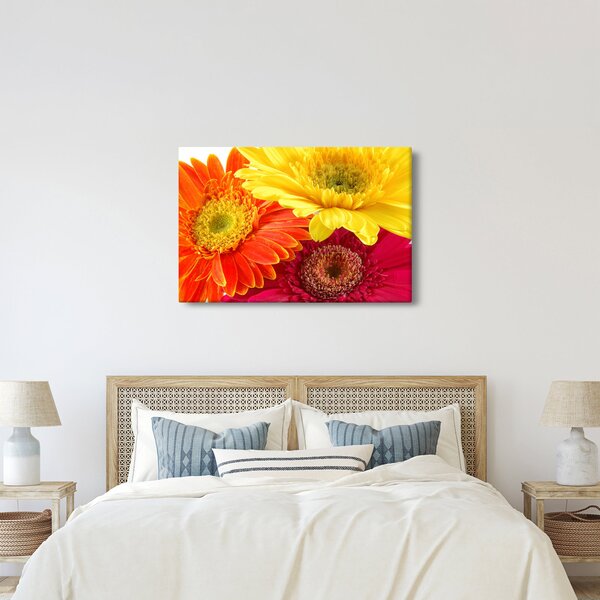 Kép - Virágok Gerbery (90x60 cm)