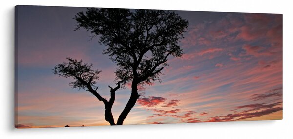 Kép - Fa és vöröses árnyalatok (120x50 cm)