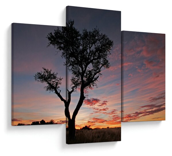 Kép - Fa és vöröses árnyalatok (90x60 cm)