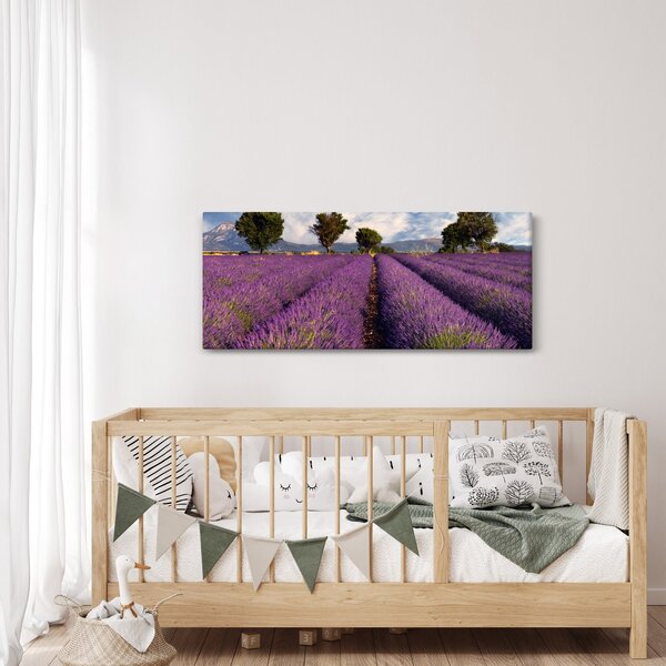 Kép - Levendula mező és hegyek (120x50 cm)