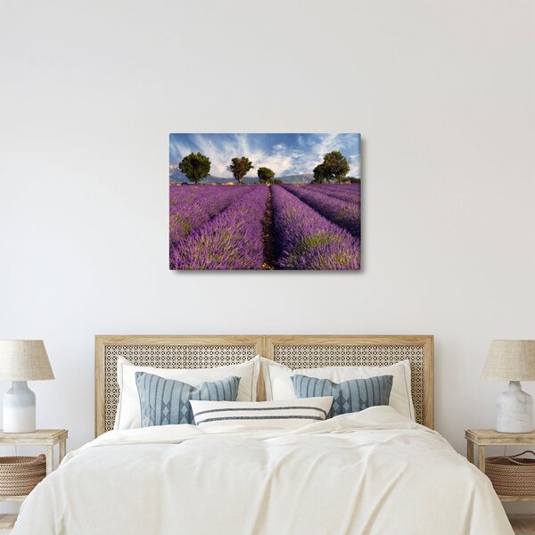Kép - Levendula mező és hegyek (70x50 cm)