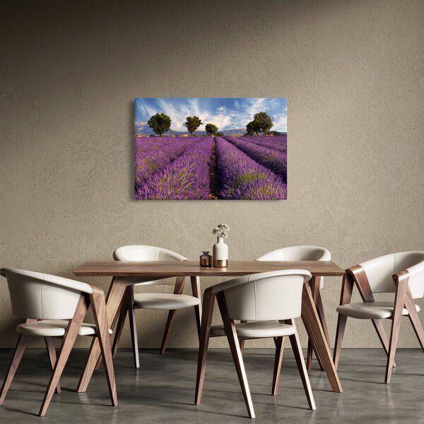 Kép - Levendula mező és hegyek (90x60 cm)