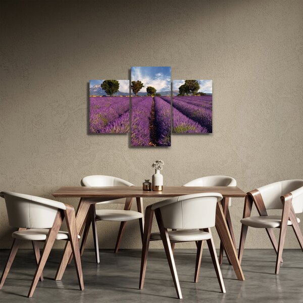 Kép - Levendula mező és hegyek (90x60 cm)