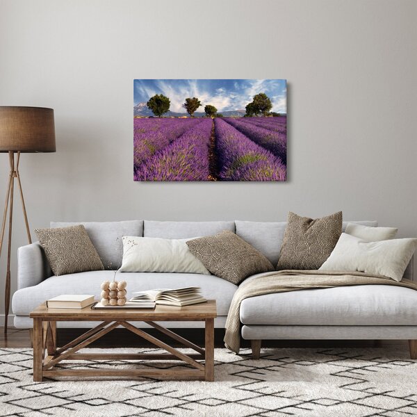 Kép - Levendula mező és hegyek (90x60 cm)