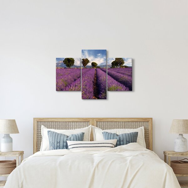 Kép - Levendula mező és hegyek (90x60 cm)