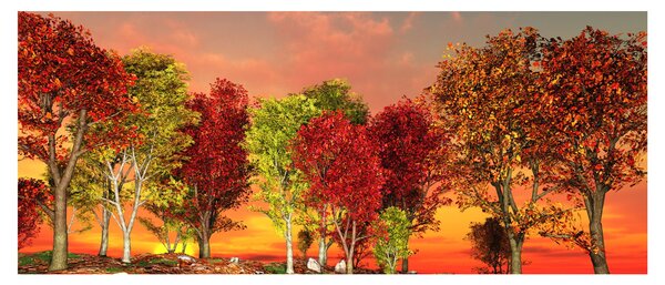 Kép - Színes fák (120x50 cm)