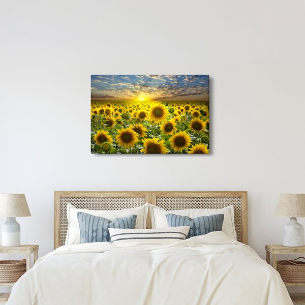 Kép - Napraforgók naplementében (90x60 cm)