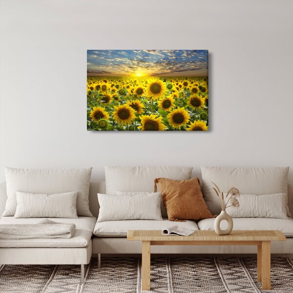 Kép - Napraforgók naplementében (90x60 cm)