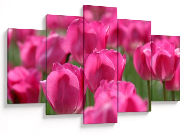 Kép - Rózsaszín tulipánok (150x105 cm)