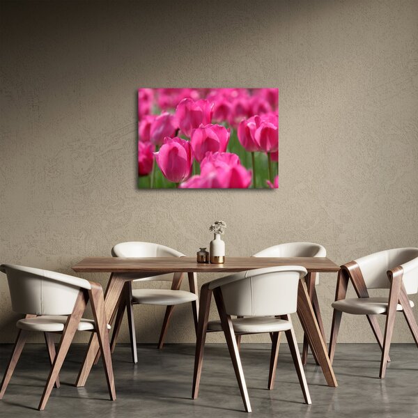 Kép - Rózsaszín tulipánok (70x50 cm)
