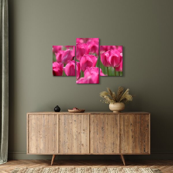 Kép - Rózsaszín tulipánok (90x60 cm)