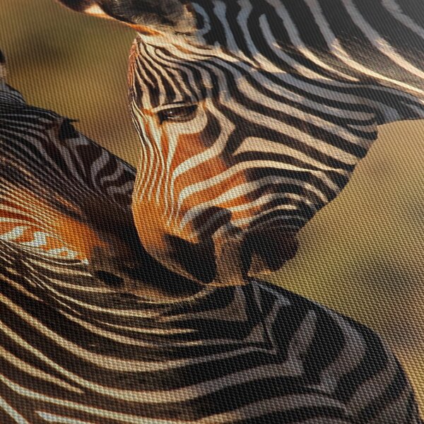 Kép - Két zebra (90x60 cm)
