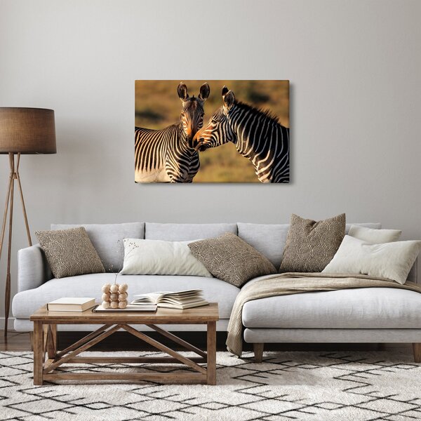 Kép - Két zebra (90x60 cm)