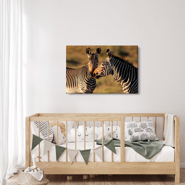 Kép - Két zebra (90x60 cm)