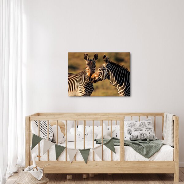 Kép - Két zebra (70x50 cm)