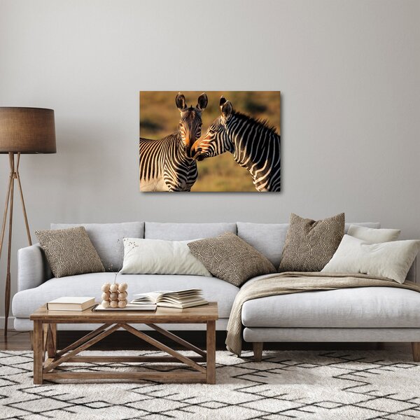 Kép - Két zebra (70x50 cm)