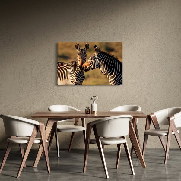 Kép - Két zebra (90x60 cm)