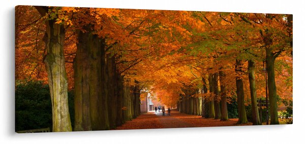 Kép - A Avenue of fák ősszel (120x50 cm)