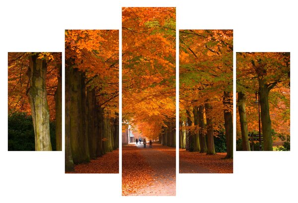Kép - A Avenue of fák ősszel (150x105 cm)