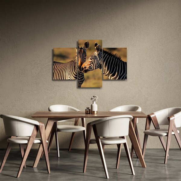 Kép - Két zebra (90x60 cm)
