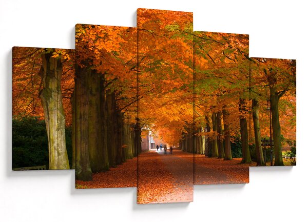 Kép - A Avenue of fák ősszel (150x105 cm)