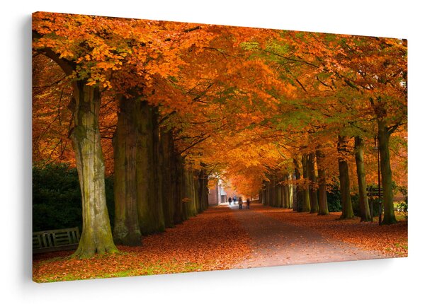 Kép - A Avenue of fák ősszel (90x60 cm)