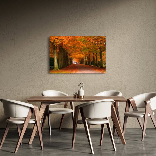 Kép - A Avenue of fák ősszel (90x60 cm)