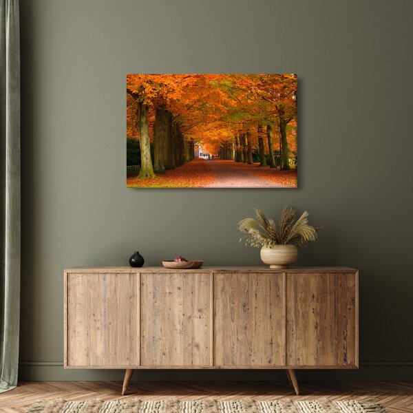 Kép - A Avenue of fák ősszel (90x60 cm)
